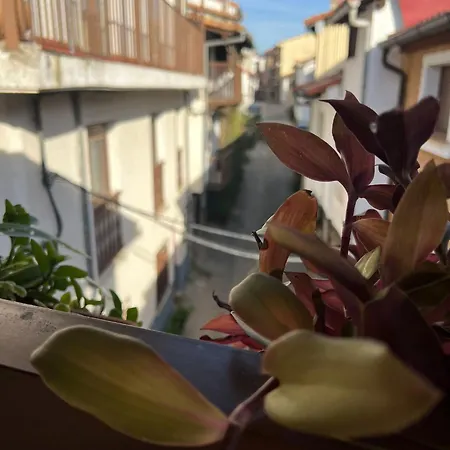 La Golondrina * Candeleda